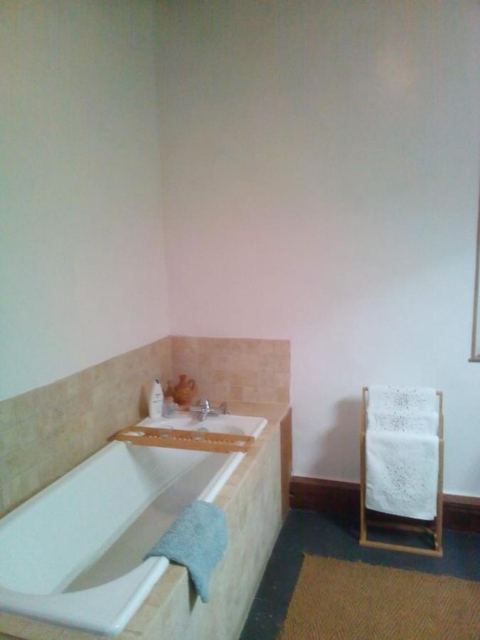 Chez Georges Appartement Carcassonne Buitenkant foto